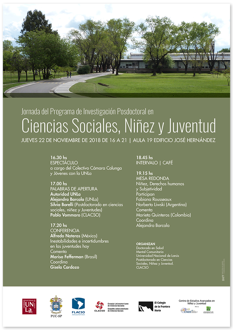 programa de investigación posdoctoral ciencias sociales, niñez y juventud